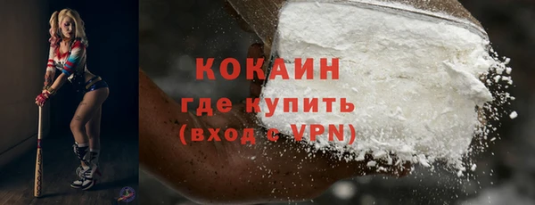 винт Лагань
