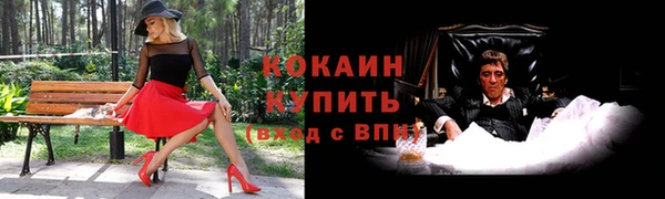 винт Лагань