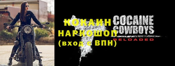 винт Лагань