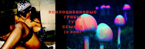 винт Лагань