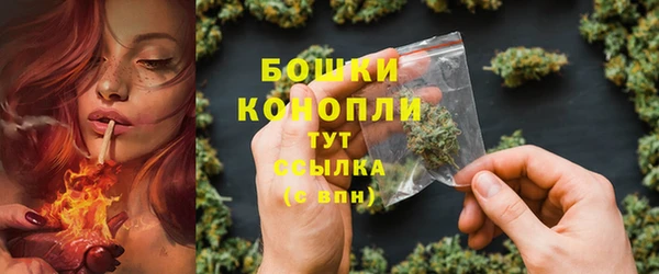 винт Лагань