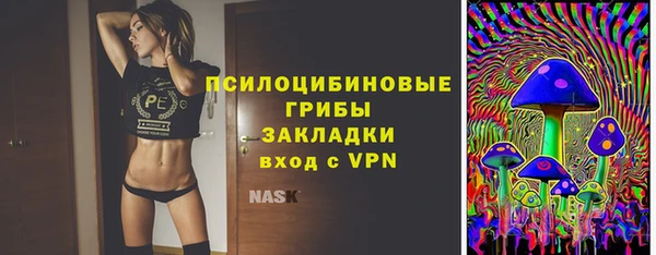 spice Ладушкин